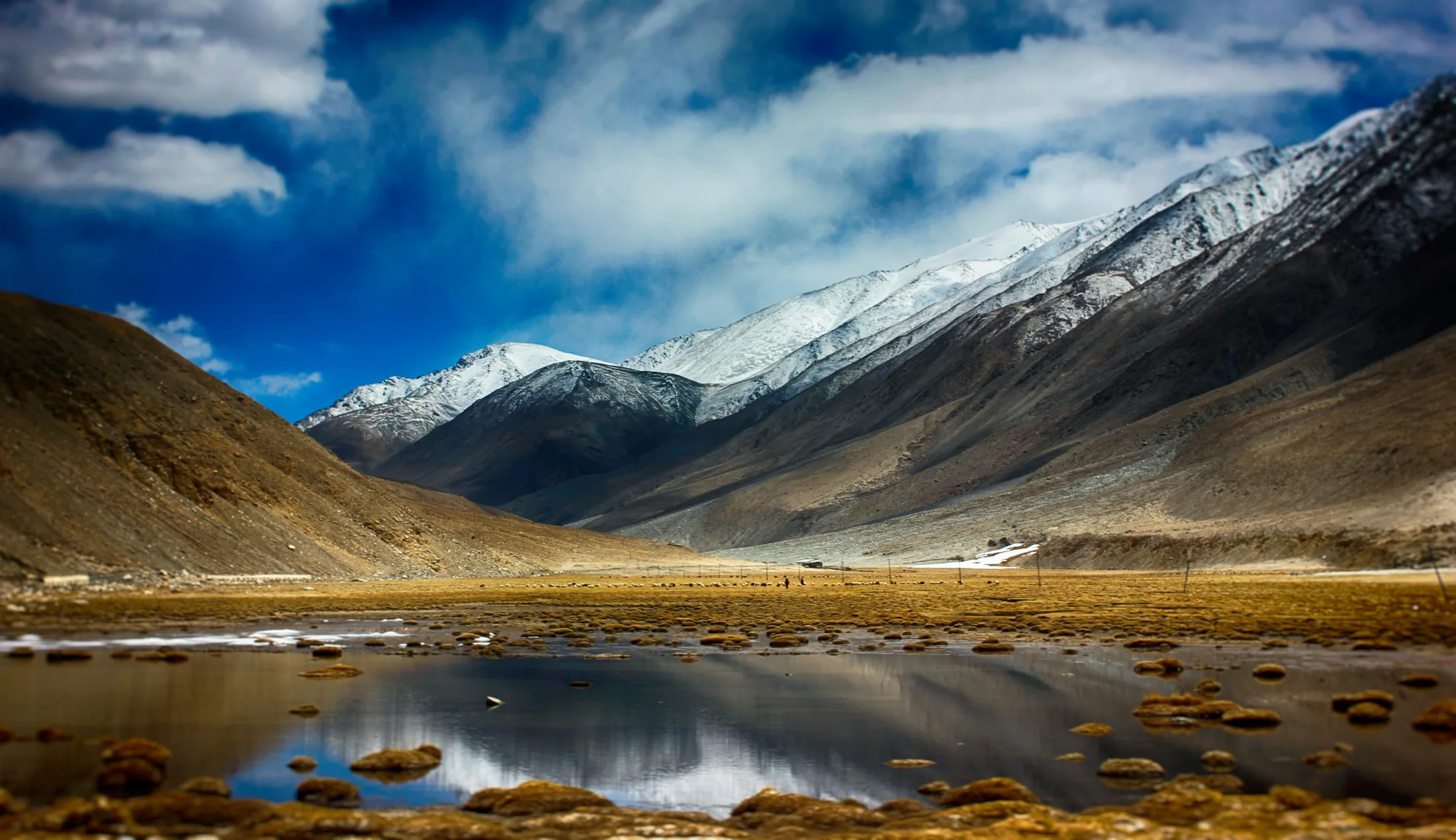 Snow-covered Ladakh mountains reflected in a still high-altitude lake